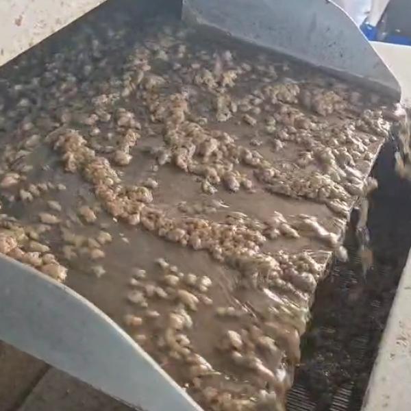 Sludge Thickeners ถังทำข้นตะกอน